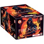 fire_ninja